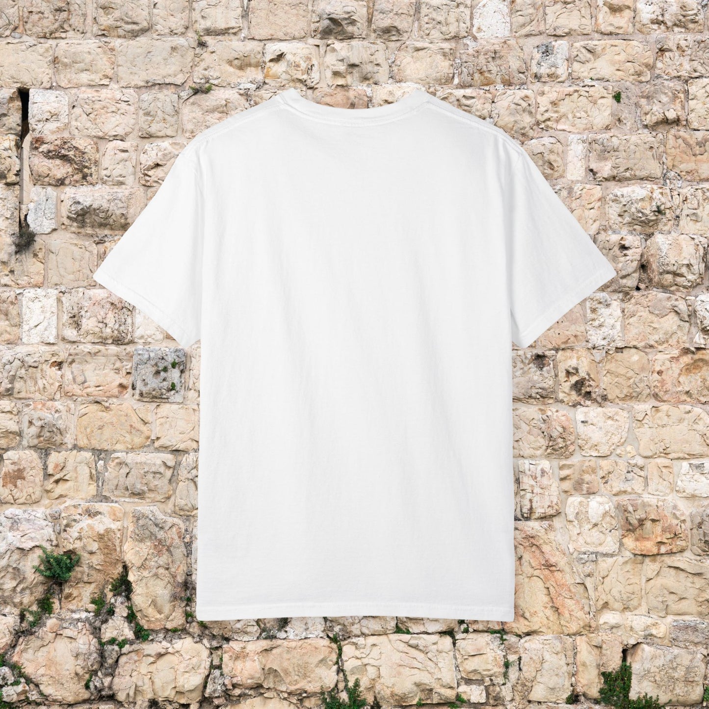a BALAGAN connection in Shirt form.